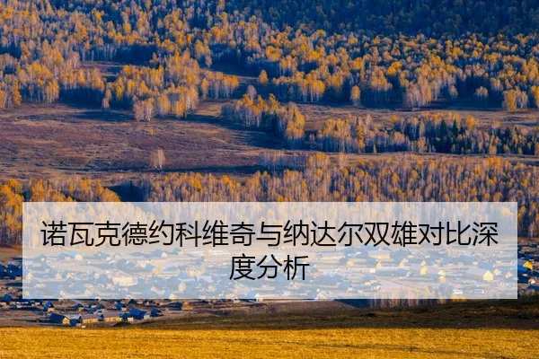 nuo-wa-ke-de-yue-ke-wei-qi-yu-na-da-er-shuang-xiong-dui-bi-shen-du-fen-xi-2-518.jpg